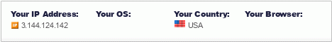 Your IP, Browser, OS Details